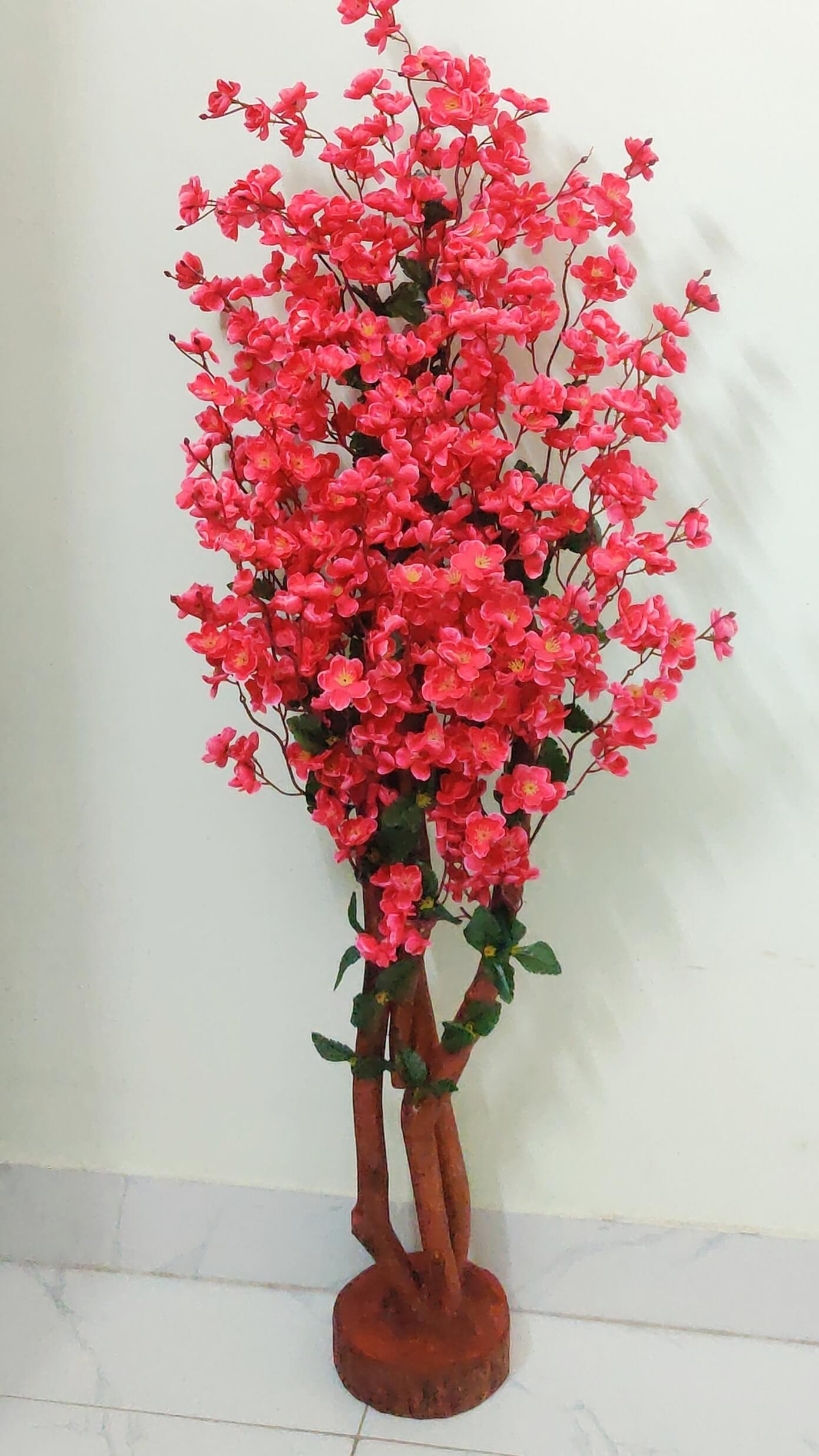 Red Cherry Blossom