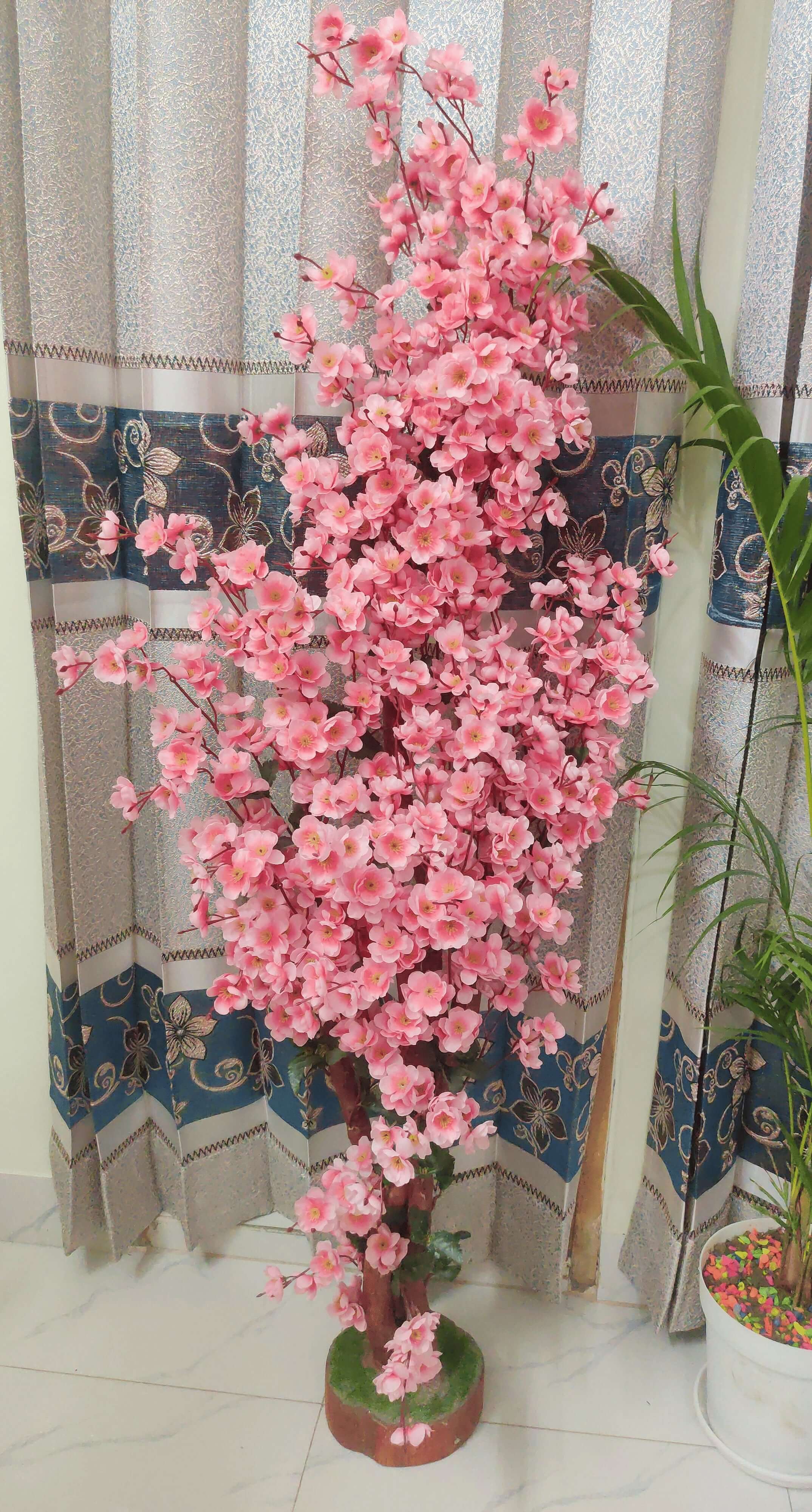 Babe Pink Cherry Blossom