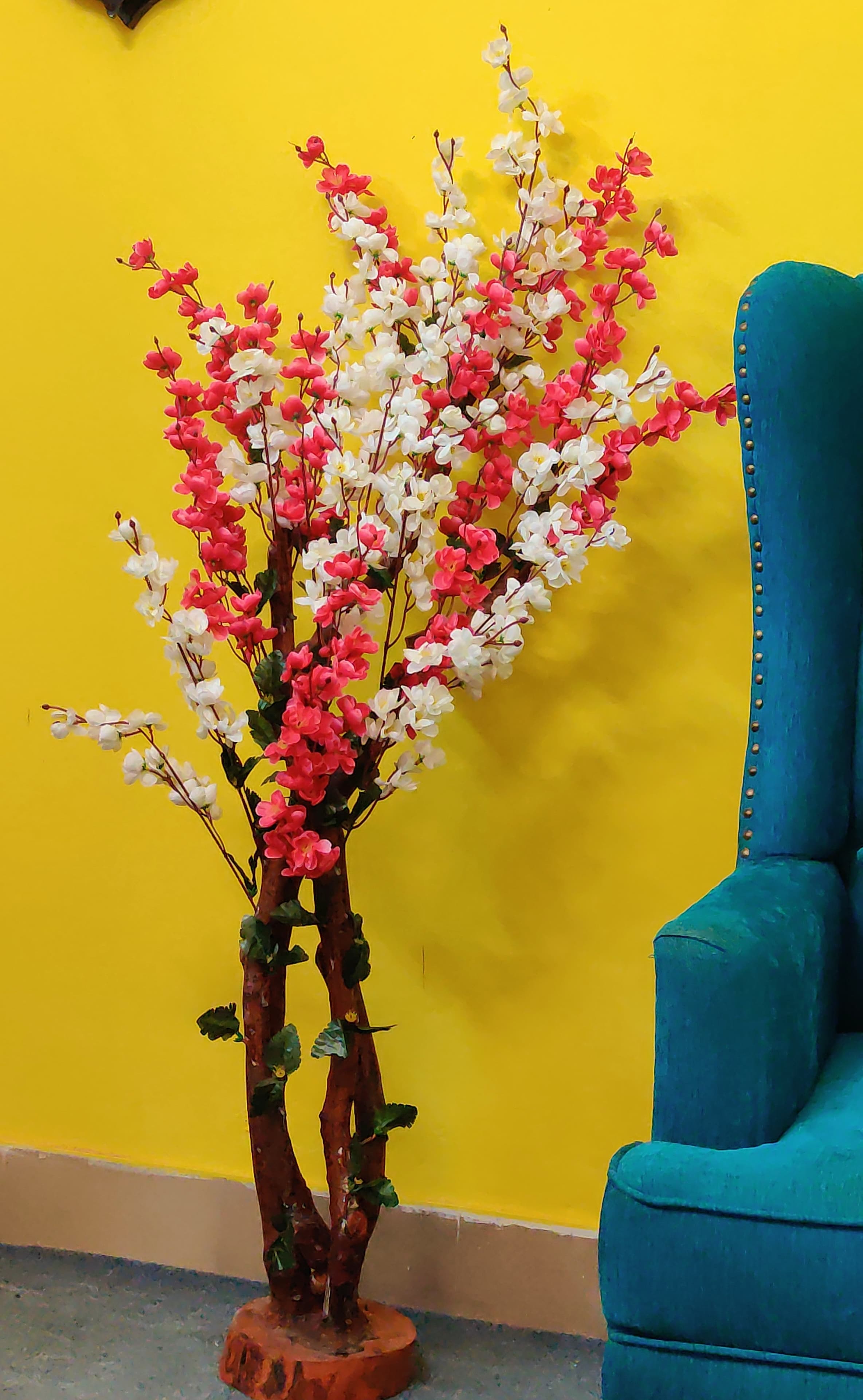 White & Red Cherry Blossom