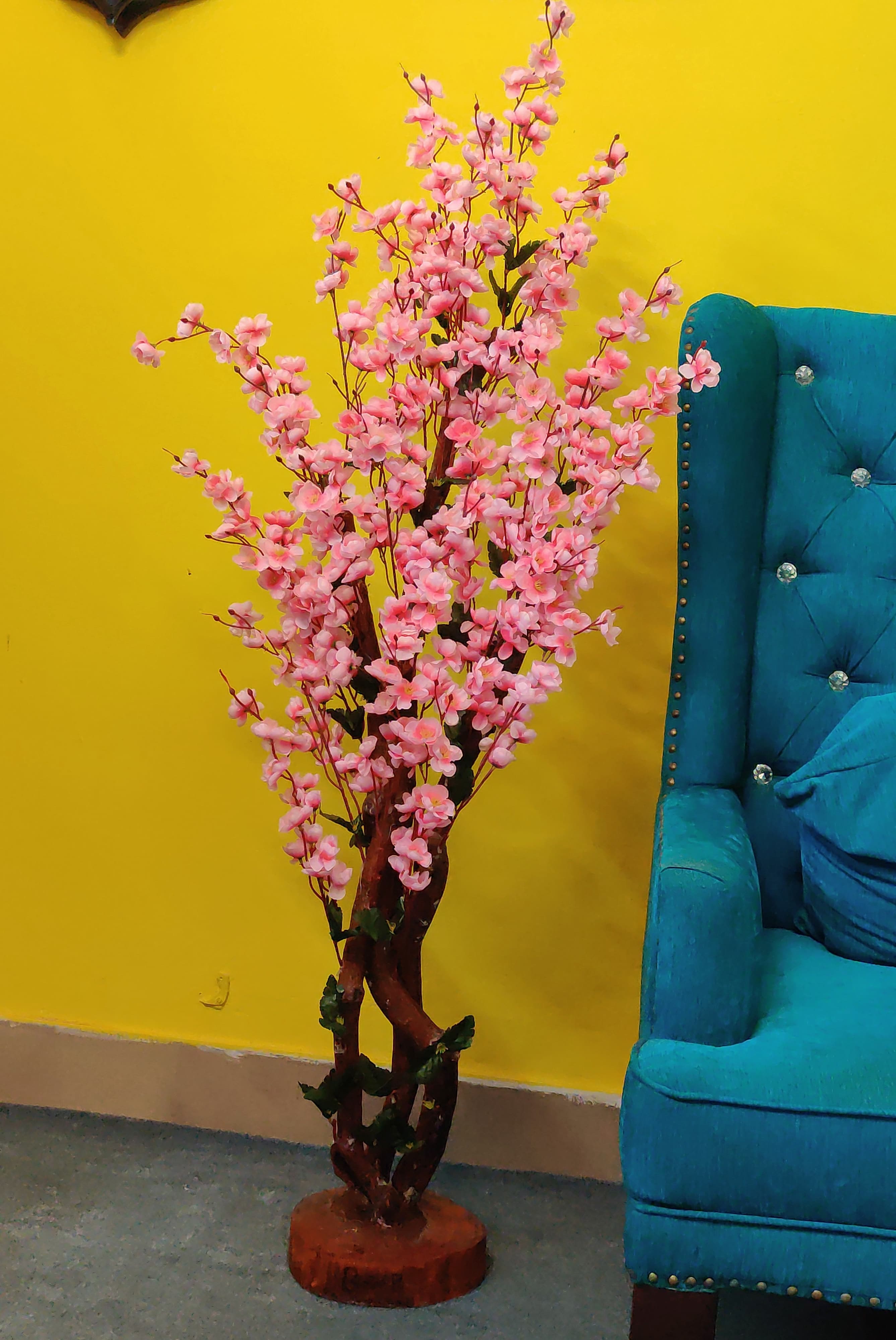 Babe Pink Cherry Blossom